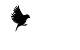 DigiWebirds Logo.pdf (1)